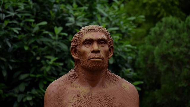 Nova arheologija istražuje zašto su i kamo nestali neandertalci