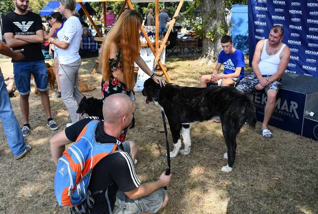 Požega: Nacionalna izložba pasa "CAC Požega 2024."