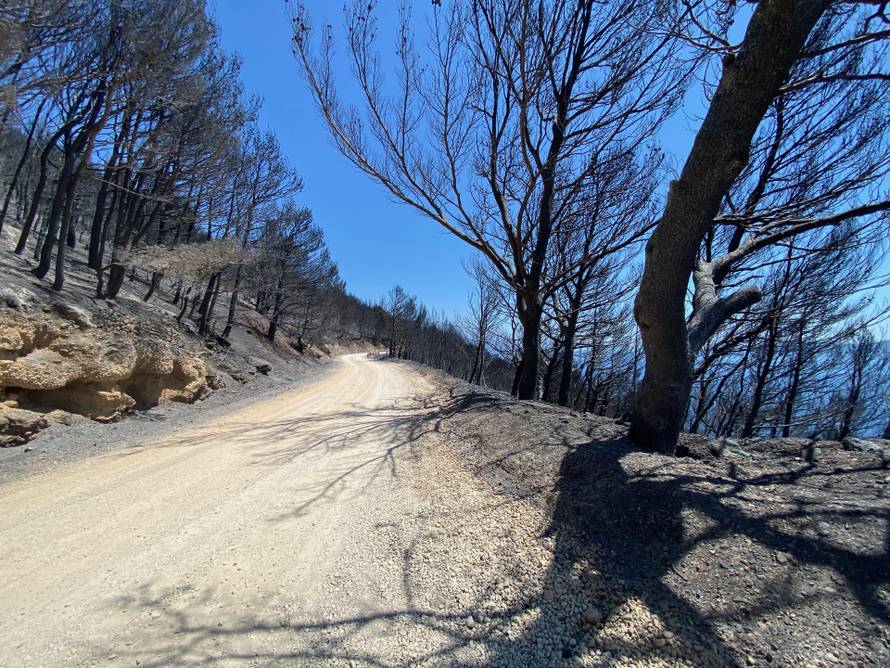 Estonac iz Mimica: 'Od izbijanja požara nemam ni struje ni vode. Krov mi je u potpunosti izgorio'