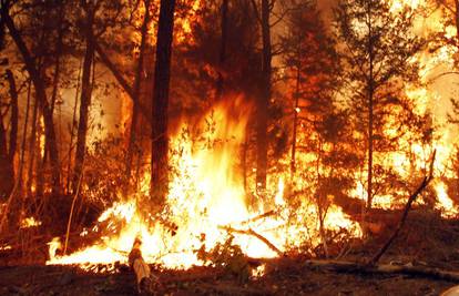 Šumski požari progutali 500 kuća, evakuirano je 5000 ljudi