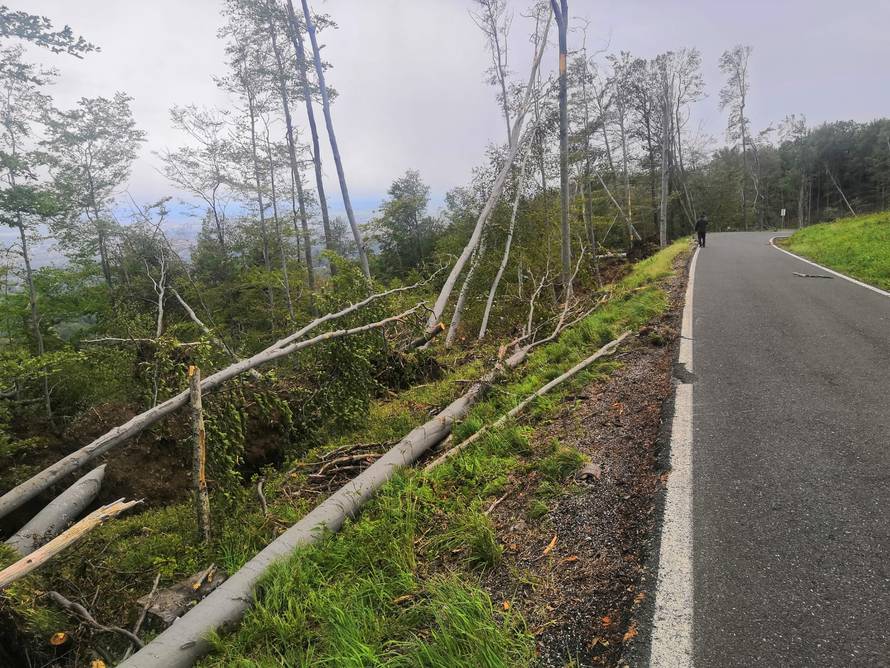 Prizor katastrofe: Oluja srušila stotine stabala na Medvednici