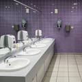 U javnim WC-ima ne dodirujte ova mjesta - puna su bakterija