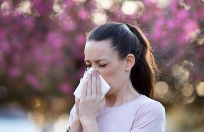 Krenule su alergije: Evo koji pripravci će vam ublažiti tegobe