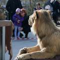 Egzotični vikend u Zoološkom vrtu u Zagrebu: Upoznajte raznoliki životinjski svijet Afrike