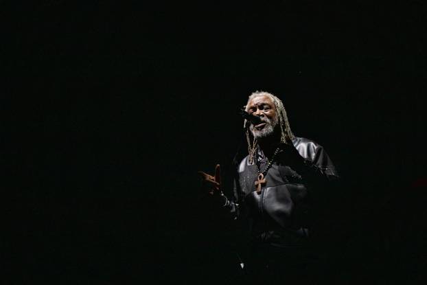 Zagreb: Massive Attack nastupio je na zadnjem danu 17. INMusic festivala