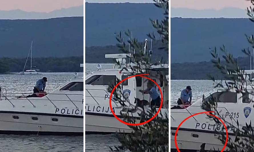 Širi se snimka na kojoj policajac s broda baca psa u more! Evo što kažu: 'Samo smo ga pustili'