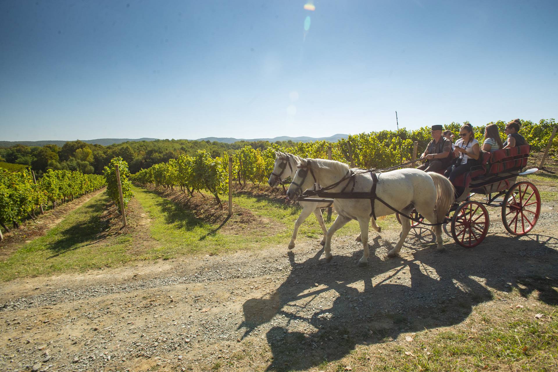 Sve je spremno za drugo izdanje vinskog festivala Slavonija i Podravina, wine not!?