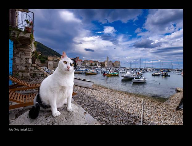 U Komiži žive posebne mačke, a jedan fotograf je smislio tajni recept da im se pomogne...