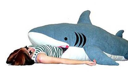 Djeci želi dočarati kako je spavati u 'morskom psu'