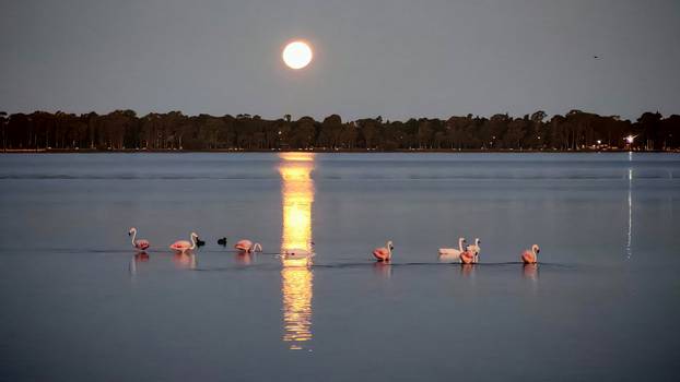 FOTO Par iz Dalmacije motorima obišao cijelu Južnu Ameriku: Pogledajte te prirodne ljepote!