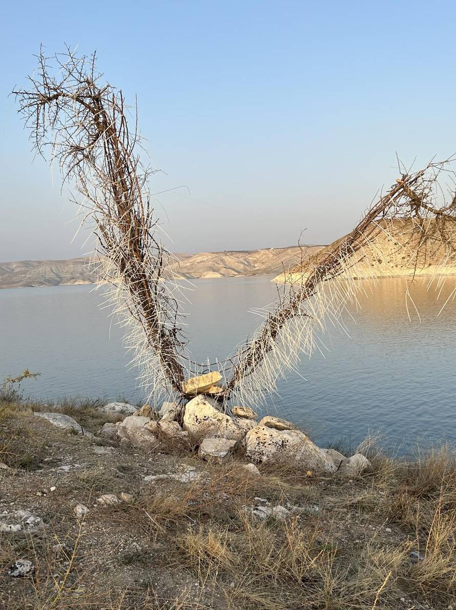 Umjetnici iz 33 države okupili se u Turskoj: Predstavili djela na temu imaginarne civilizacije...