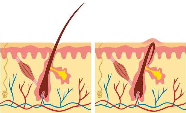 Nepoznate činjenice i idealne proporcije vagine: Saznajte, jeste li ispod ili iznad prosjeka