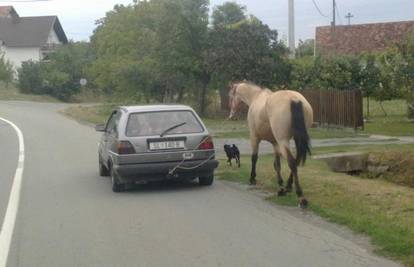 Konopcem zavezao konja za autu i vukao ga gradom