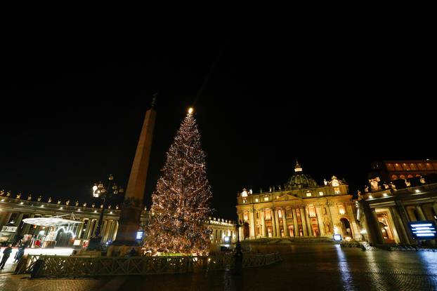 The Vatican Christmas tree is lit up during a ceremony in St. Peter