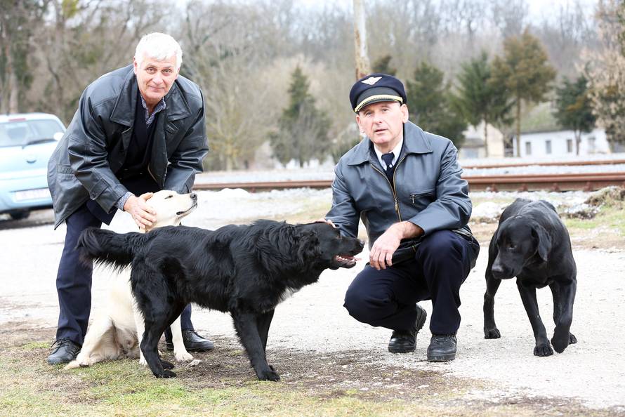 Kraljevi pruge: Psi lutalice u Spačvi čekaju svoj novi dom