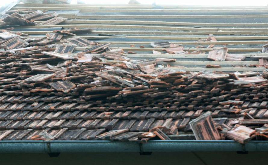 Marko Prpić/Pixsell