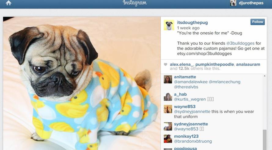 instagram.com/itsdougthepug/