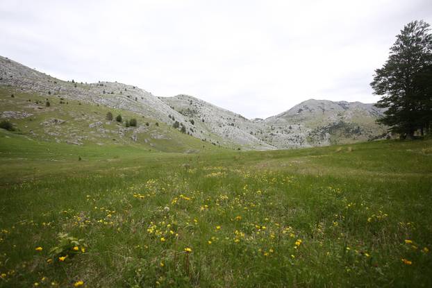 Dinara postaje 12. park prirode u Hrvatskoj