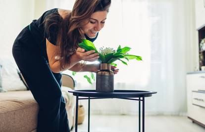 Zbog ovih aromatičnih biljki vaš dom će mirisati božanstveno