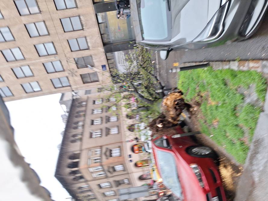 FOTO Stablo zdrobilo auto u Podsusedu! Zbog nevremena prometni kolaps u centru ZG-a