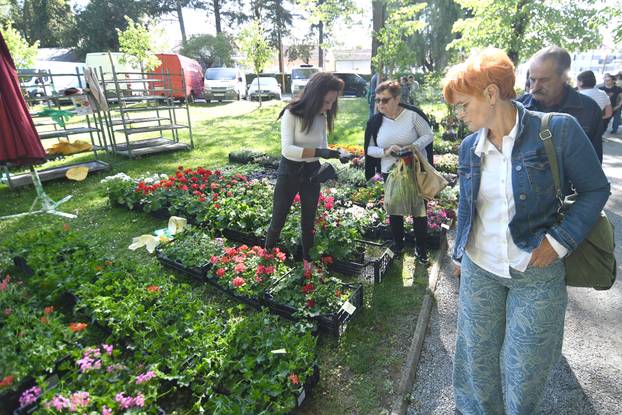 Daruvar: Sajam cvijeća, bilja i sadnica privukao mnogobrojne posjetitelje