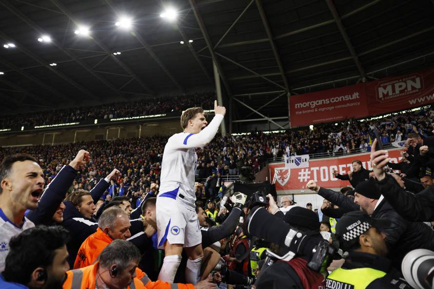 FIFA World Cup - UEFA Qualifiers - Semi Final - Wales v Bosnia and Herzegovina