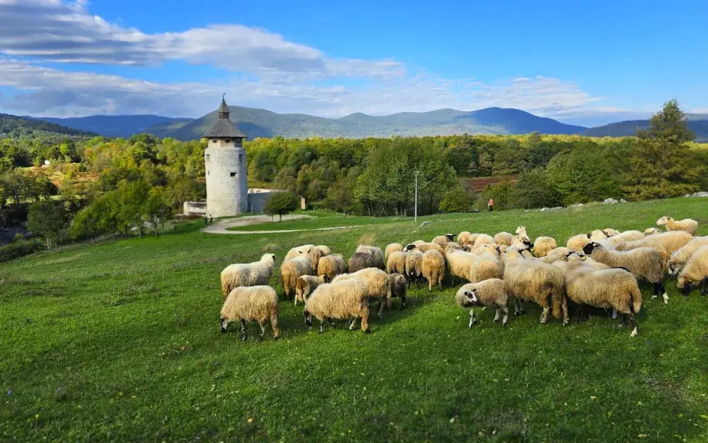 Around Plitvice: 3 lokacije - jedan nezaboravan doživljaj