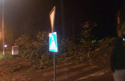 Olujno nevrijeme: Jak vjetar u Zagrebu srušio stablo na cestu