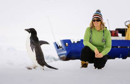 Ledena turistička meka: Put na Antarktiku sve je popularniji