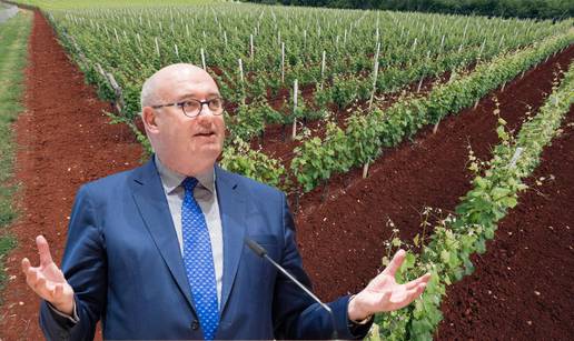 Tko je Phil Hogan? Tihi heroj borbe sa Slovenijom za jedno važno vino. Teran je Istrijan!