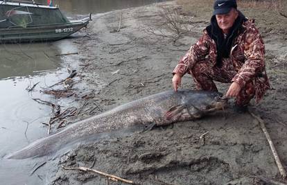 Upecao soma dugačkog 250 centimetara i teškoga 103 kg