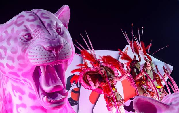 Carnival in Rio de Janeiro