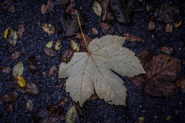Kišno jesenski ugođaj na Plitvičkim Jezerima
