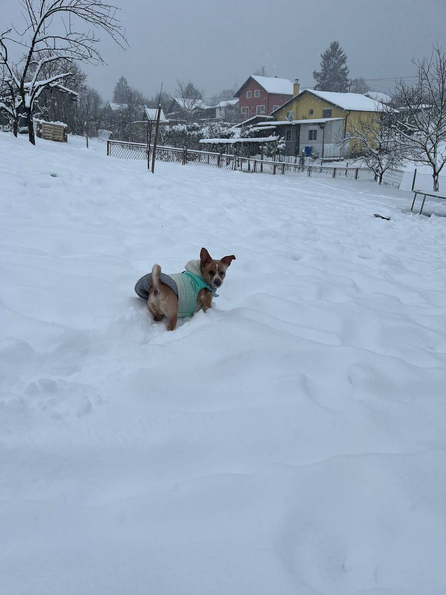 Općinska komunalka sama 'izlopatala' snijeg sa staze: 'Nema nikakve drame u tome'
