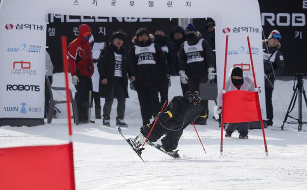 Robot Alexi takes part in the Ski Robot Challenge at a ski resort in Hoenseong