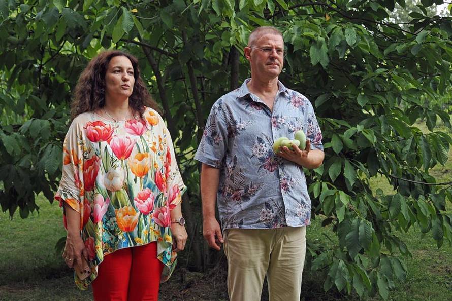 Počinje 6. Festival indijanskih banana: Saznajte sve o ovom zdravom voću i zabavite se