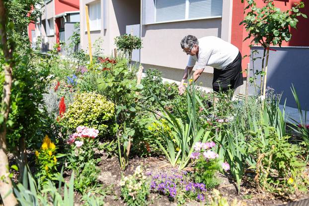 Zagreb: Jasenka Marija Kaštelan ima najljepši vrt na balkonu i ispred zgrade 