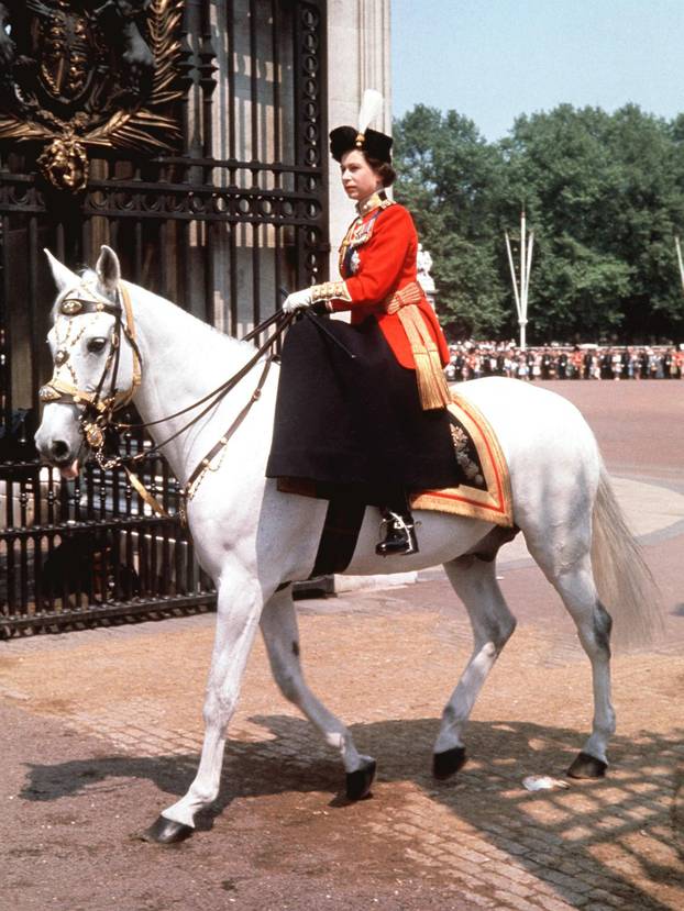 Buckingham Palace Royal Animals exhibition