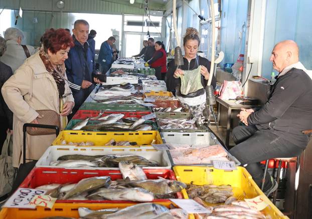 Šibenik: Ponuda ribe u šibenskoj ribarnici