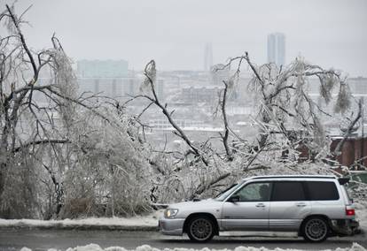 A car drives past trees covered with ice after freezing rain in Vladivostok
