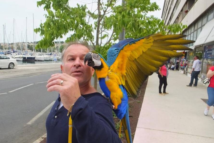 Duško Marušić/Pixsell