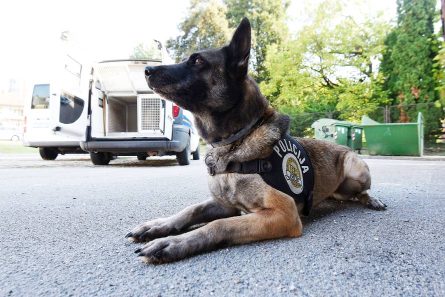 Glavna njuška u Zagorju: Voli ljude, ali ne i kad joj muljaju