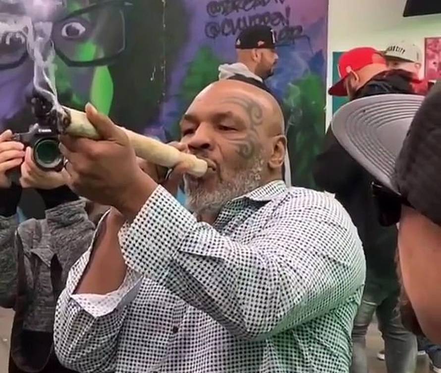 Ovo je 30 šokantnih priča o Mikeu Tysonu: Žena ga varala s Pittom, borio se s gorilom...