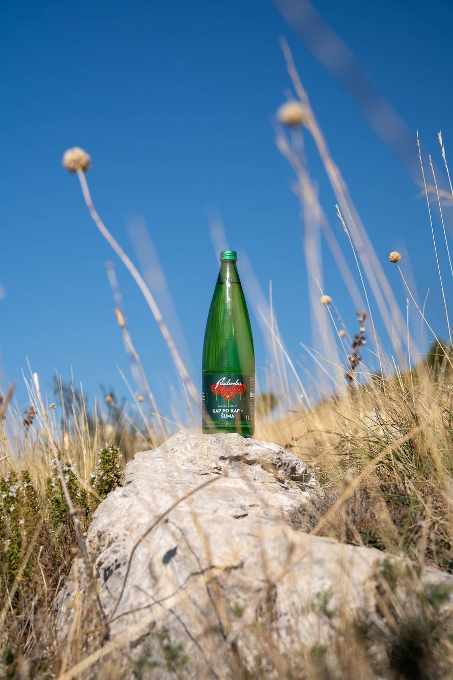 Tri srca u akciji pošumljavanja opožarenih područja u Dalmaciji