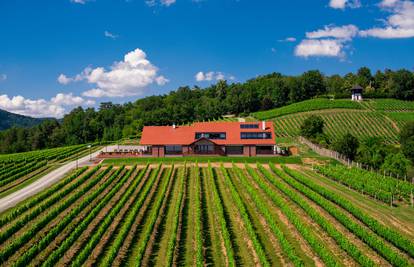 Prepustite se gastronomskoj čaroliji vinarije Kutjevo