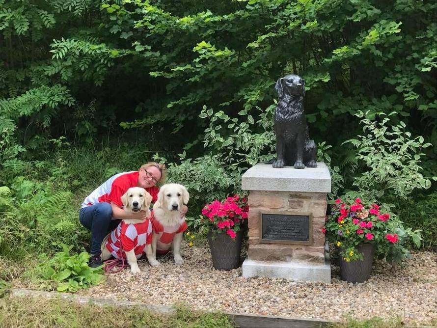 Tu su i hrvatski ljepotani: 361 zlatni retriver na okupu