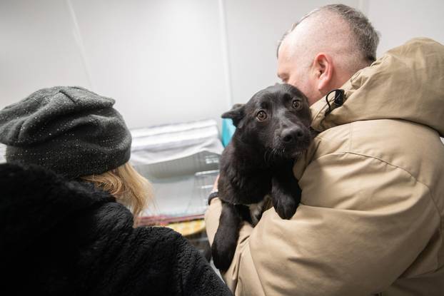 Ukraine conflict - animal rescue