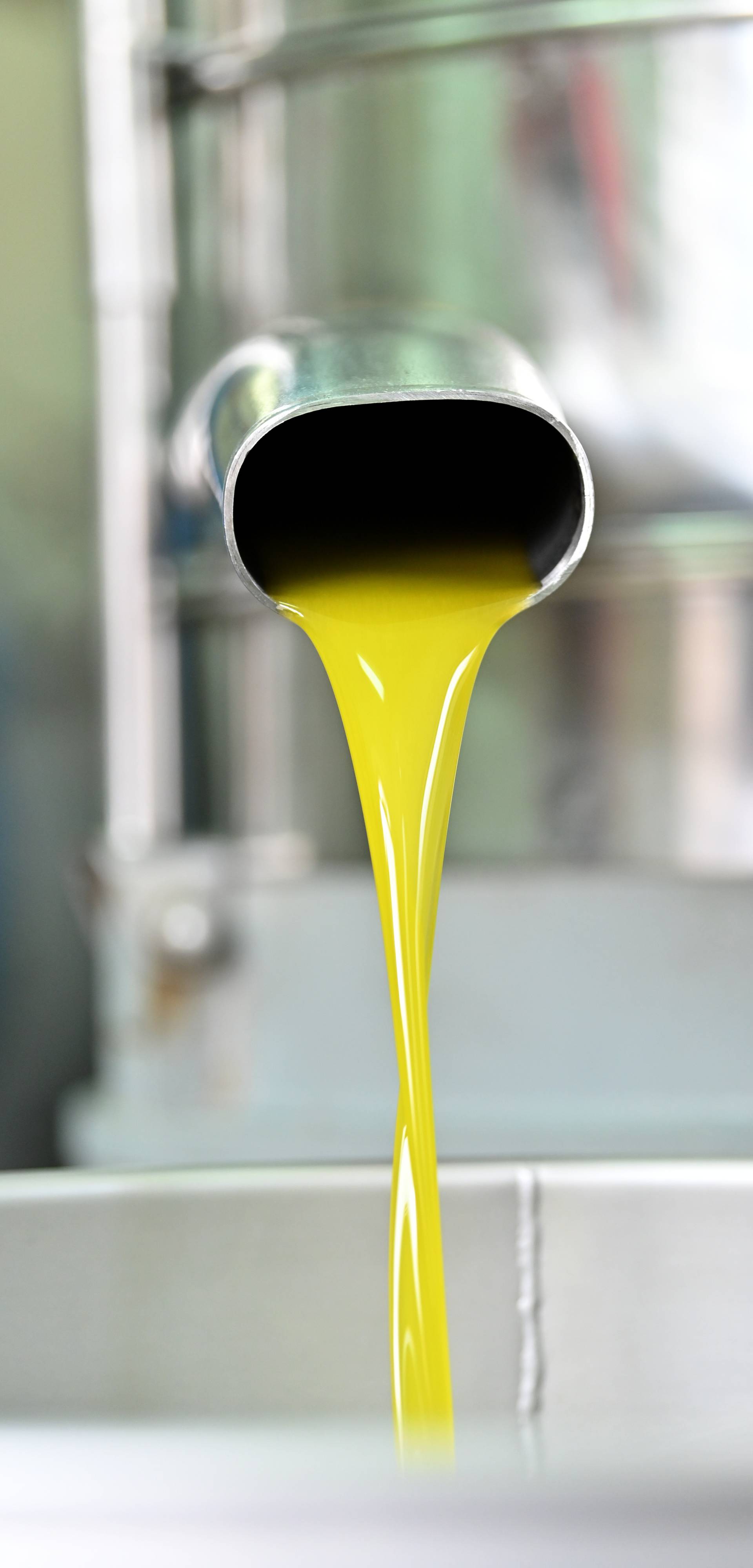 Proces proizvodnje maslinovog ulja u uljarskoj zadruzi Igrane