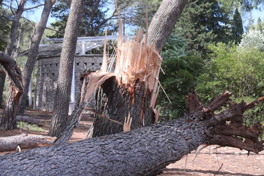 Oluja ubila šumu na Marjanu: 'To je kao ratna zona! Šteta od nevremena bit će u milijunima'
