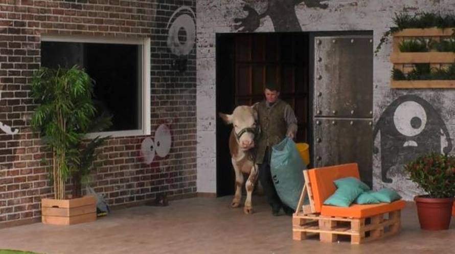 BB Ana-Marija: Bojane, mislila sam da ću imati nešto s tobom